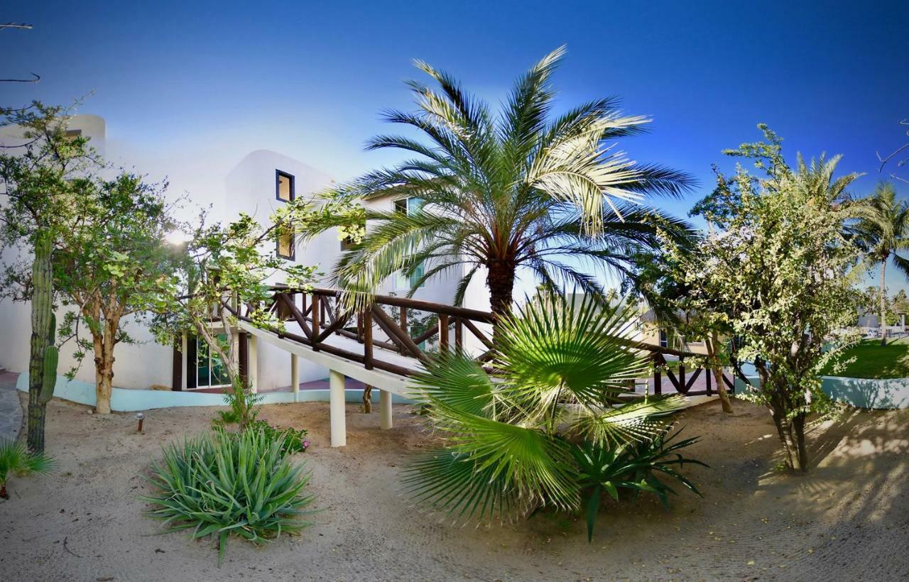 Santa Maria Del Cabo Hotel San Jose del Cabo Exterior photo
